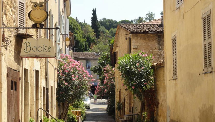 Excursión Premium de día completo - Campo y cata de vinos desde Cannes - Foto 3